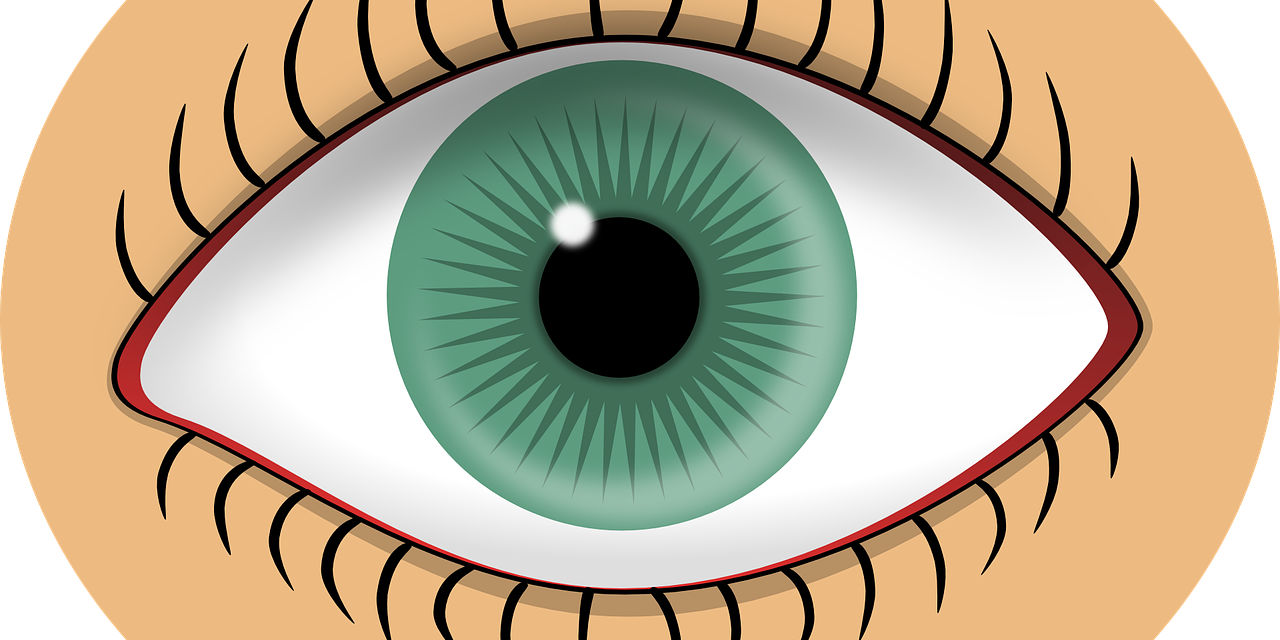 מערכת החושים