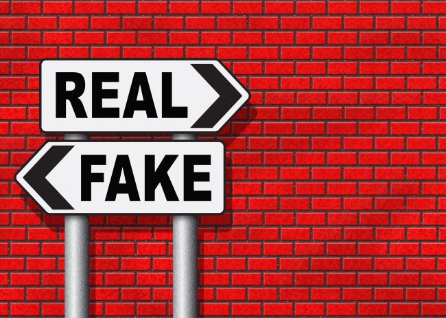 fake versus real critical thinking