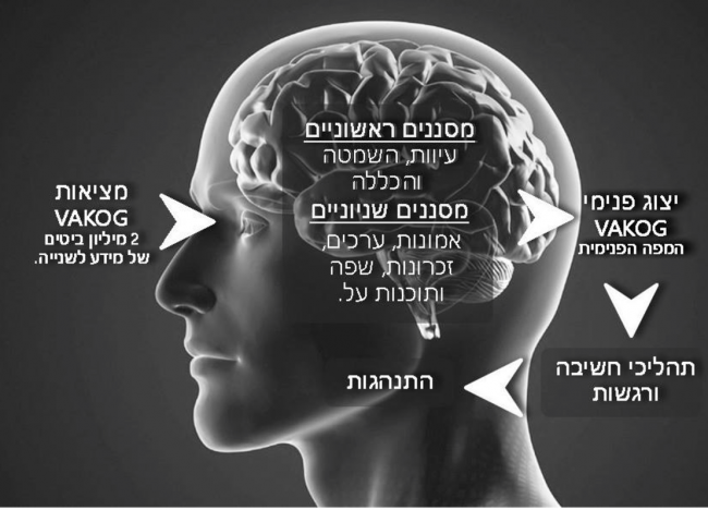 Screen Shot 2017-08-24 at 17.03.21